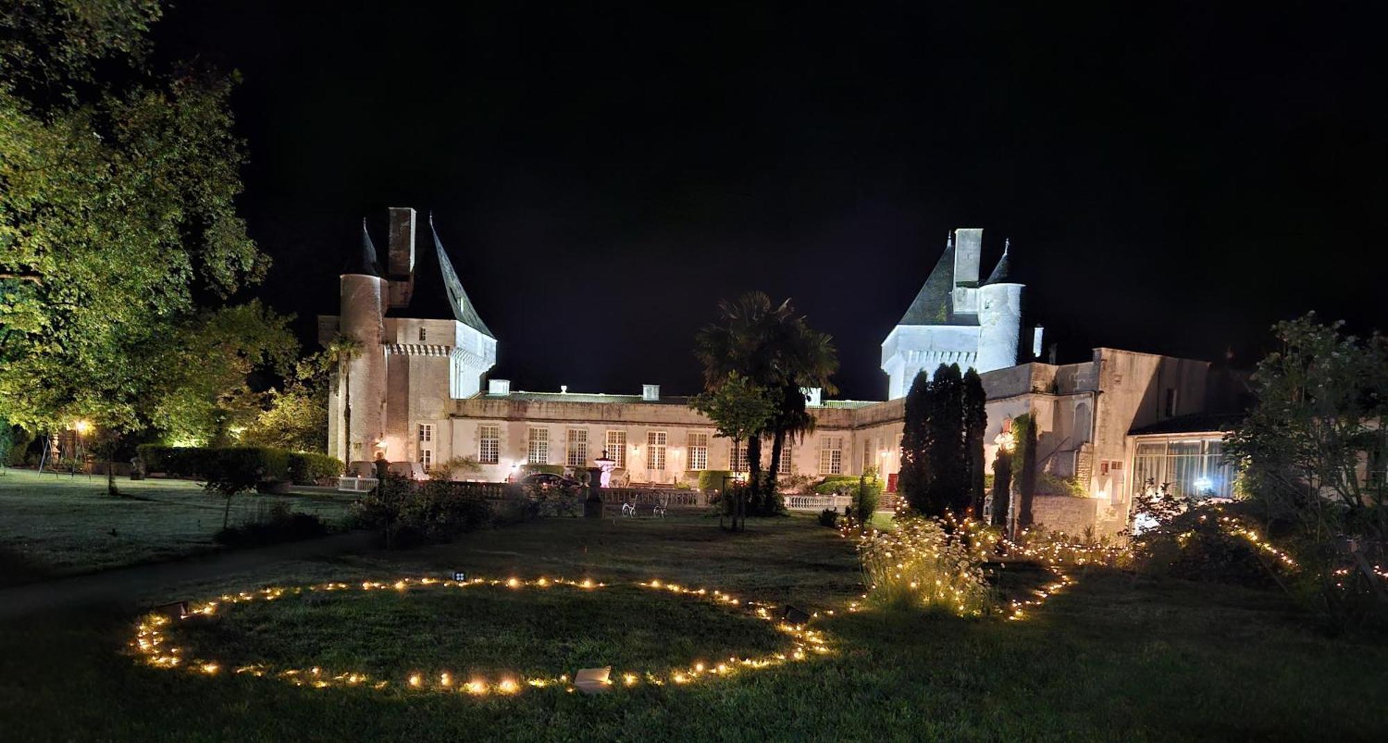 Chateau De Mornay Saint-Pierre-de-l'Isle Exterior photo